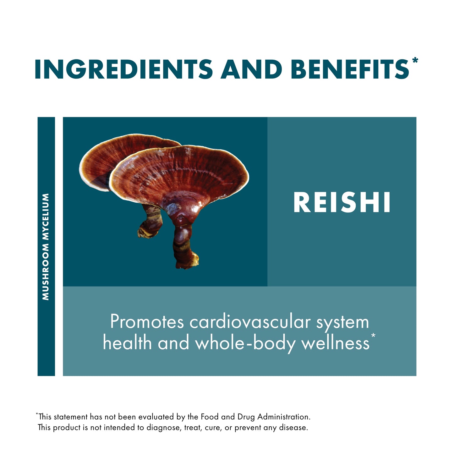 Reishi Capsules - 120 Capsules (60 Servings)